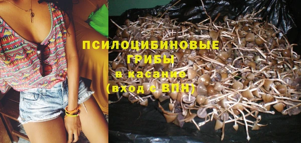 ГАЛЛЮЦИНОГЕННЫЕ ГРИБЫ Алексин