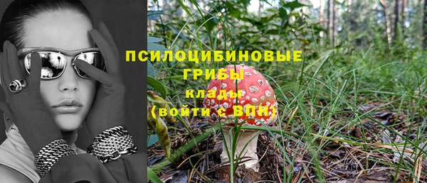 ГАЛЛЮЦИНОГЕННЫЕ ГРИБЫ Алексин