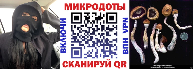 Купить закладки  Назрань  Псилоцибиновые грибы мухоморы 